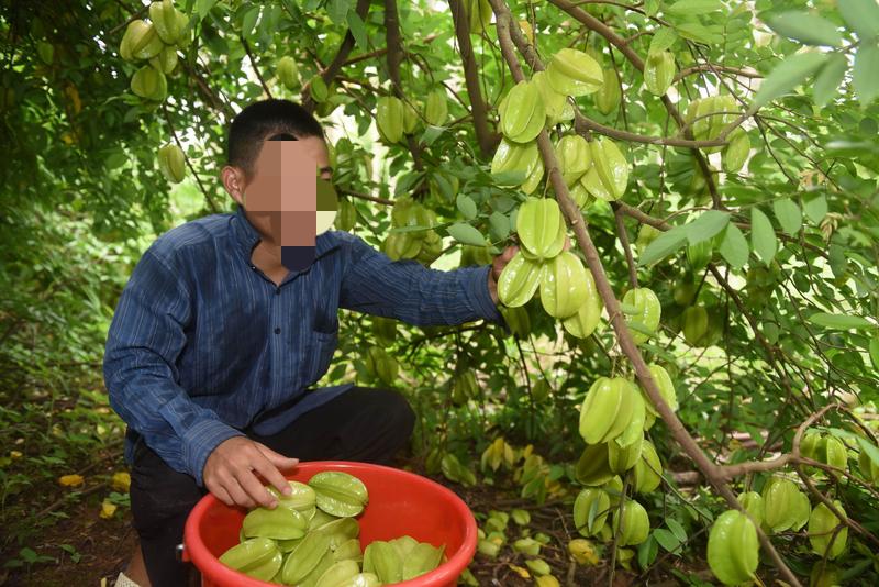 女子见水果摊标