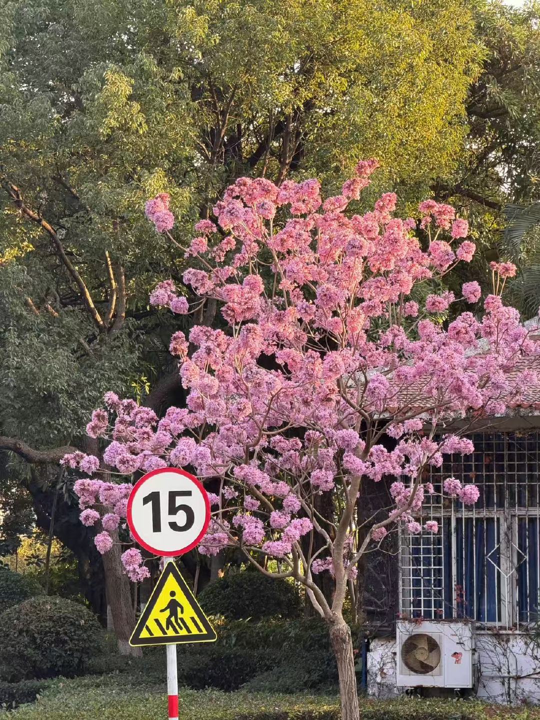 翟潇闻火了之后有压力了翟潇闻拍照火了之后有压力了 哈哈哈哈哈哈摄影师压力加一 