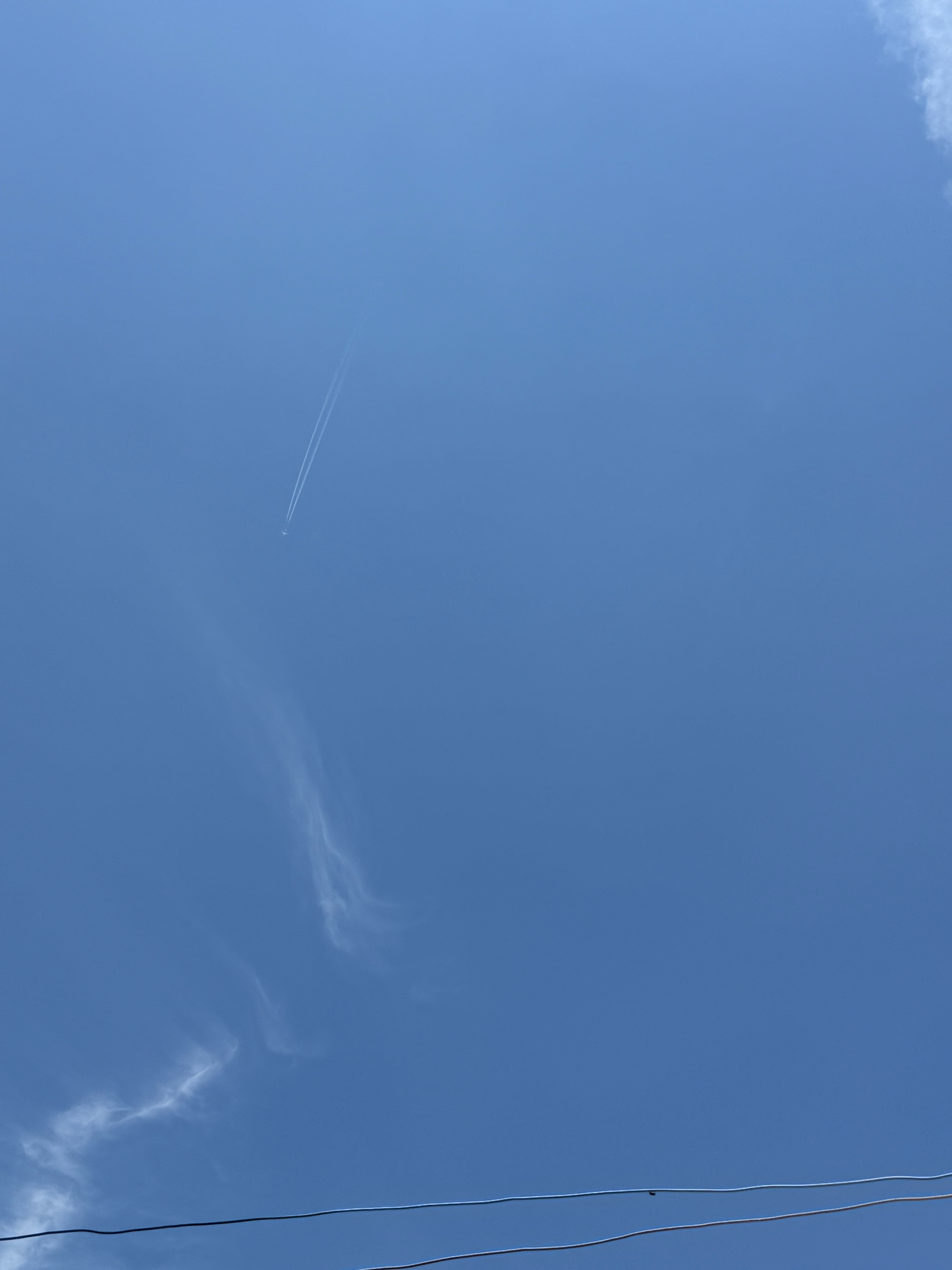 今天湿度再强一点，就是标准的桑拿天。 