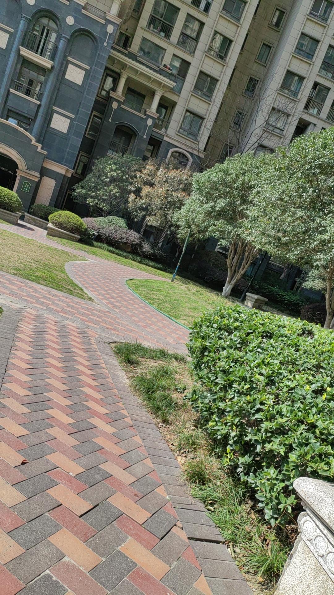 看着这安静的小区，心里却有点空落落的。大家都忙着各自的生活，我也想找点事做，不求