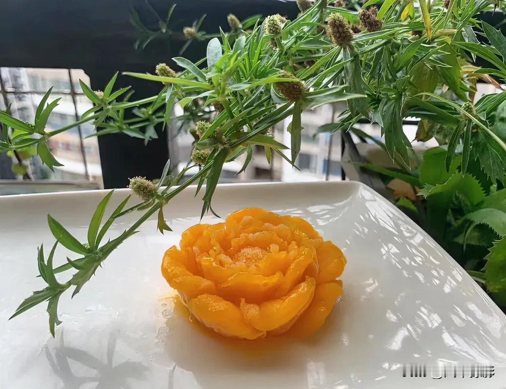 蔡澜先生说：辛苦不要告诉别人，大家都有的事情，你有什么特别？讲来干什么嘛？“嘟”