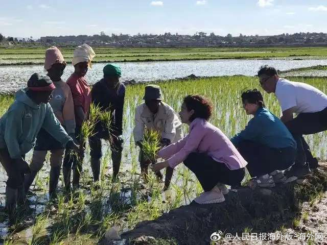 【湖南省人大代表杨兰英：以务实举措将报告“民生温度”送达妇女儿童身边】当春日的暖