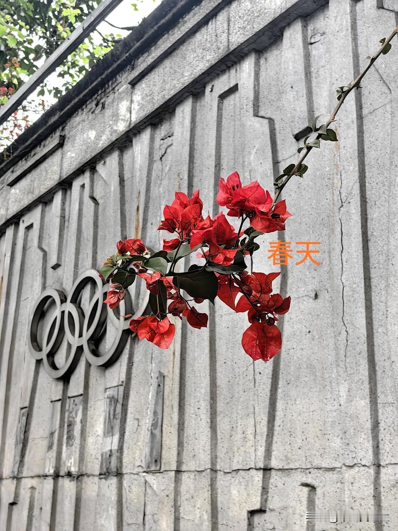 上联：喜坐秋湖评秀色，下联邀您对愁看春水论家常