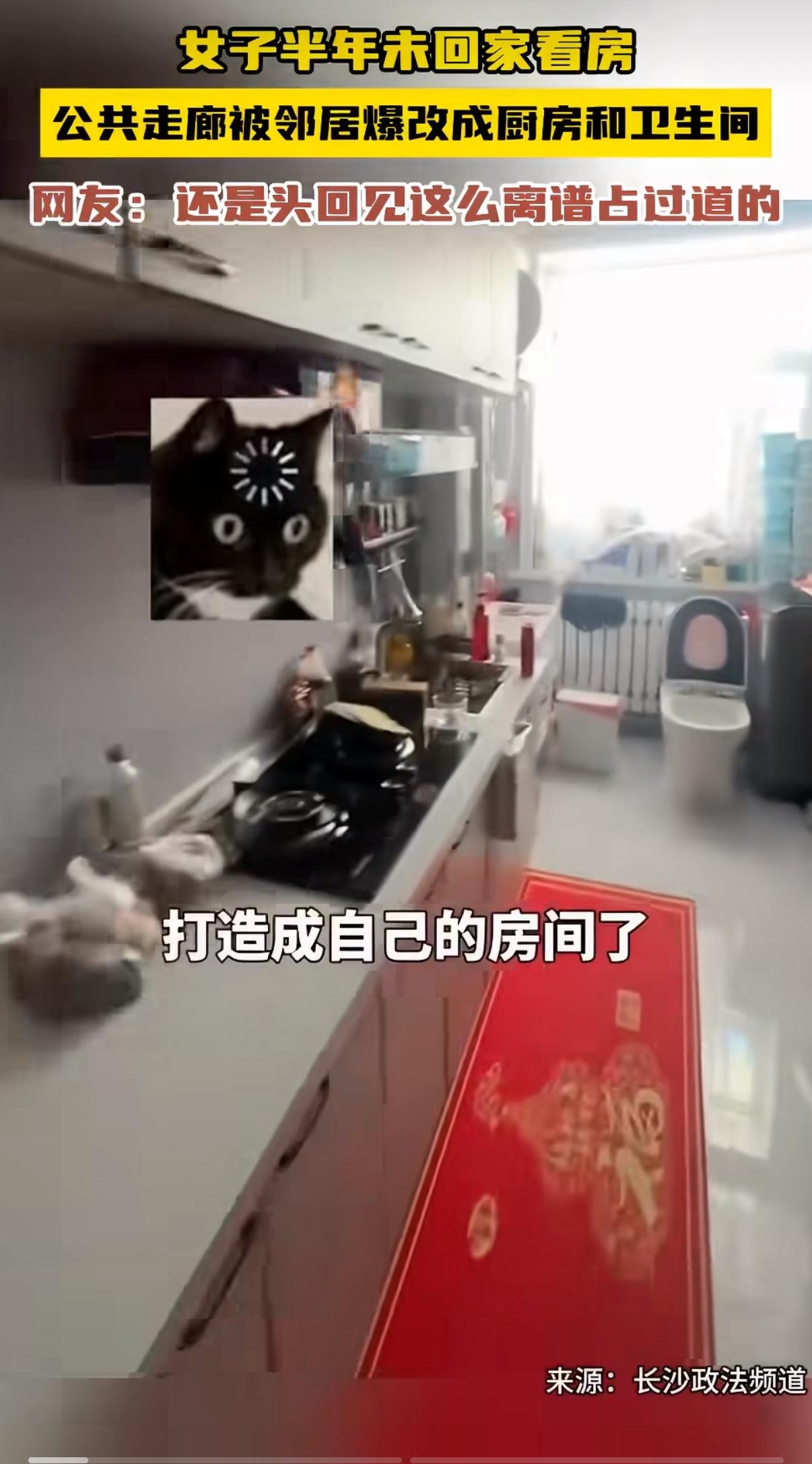 江苏一位女子半年没回自己家，好不容易抽空回去收拾屋子，推开卧室窗户的那一刻，直接