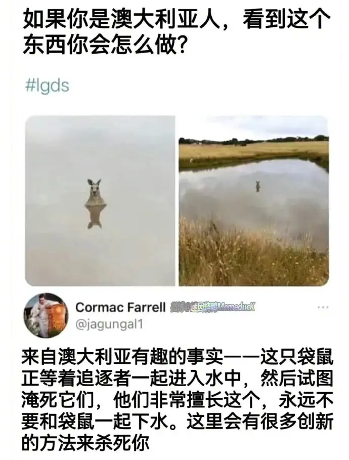 <img src=