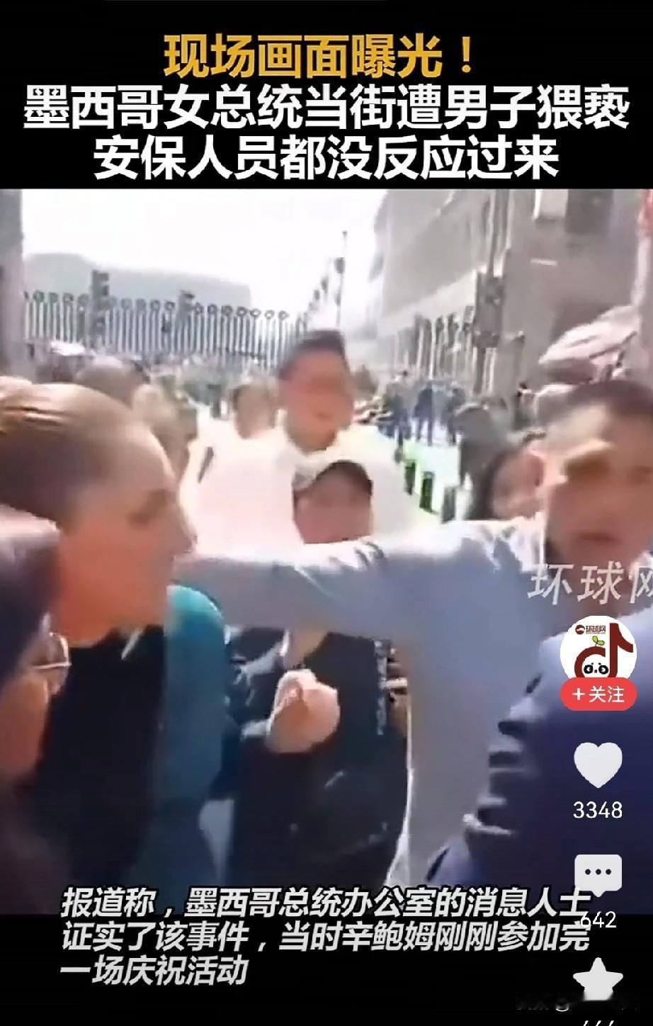 那天在国家宫附近看着辛鲍姆总统和市民打招呼，突然有个男的凑过来想亲她，还动手摸她