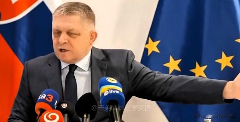 斯洛伐克总理菲佐（接上一篇）: 很遗憾，记录里没有关于任何和平的内容，完全没有，