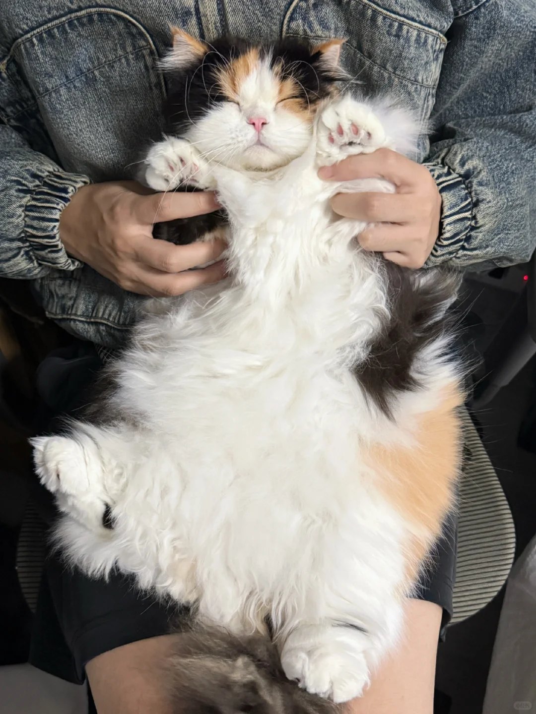 投降降～
