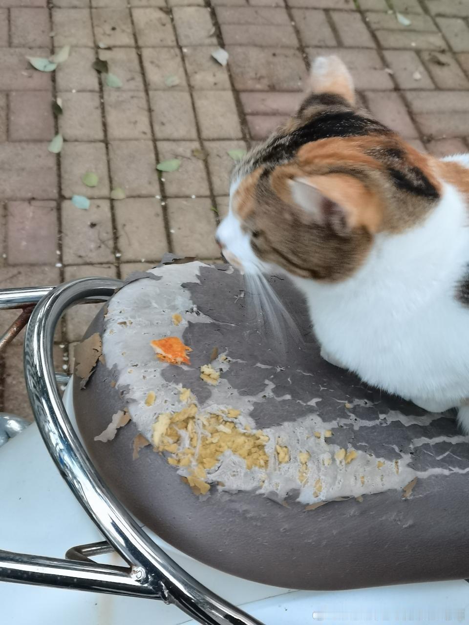 49402【心灵丑】学长把学校路边电动车的车座子抓坏了 