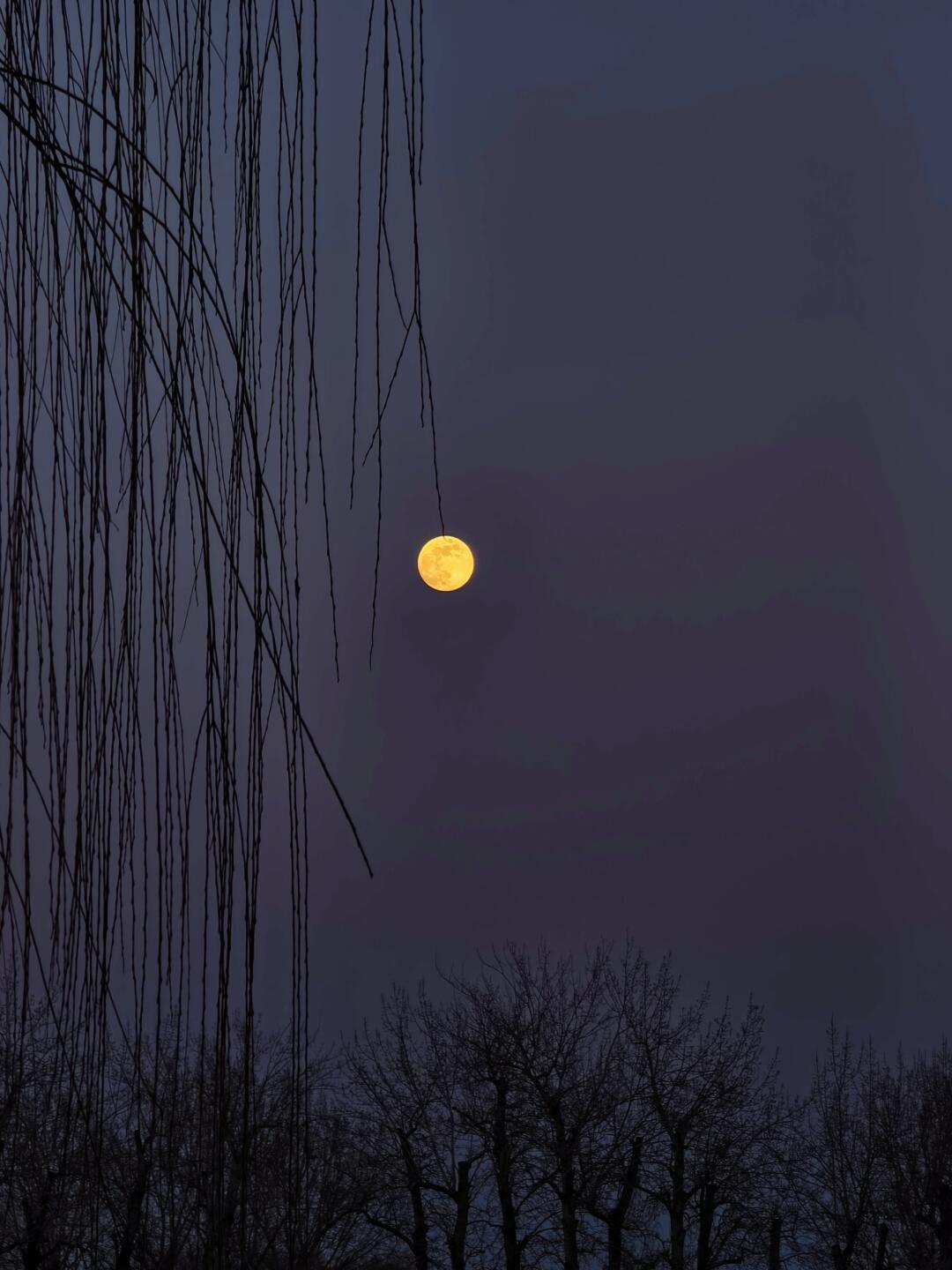 月亮投射在水面是星星的形状  
