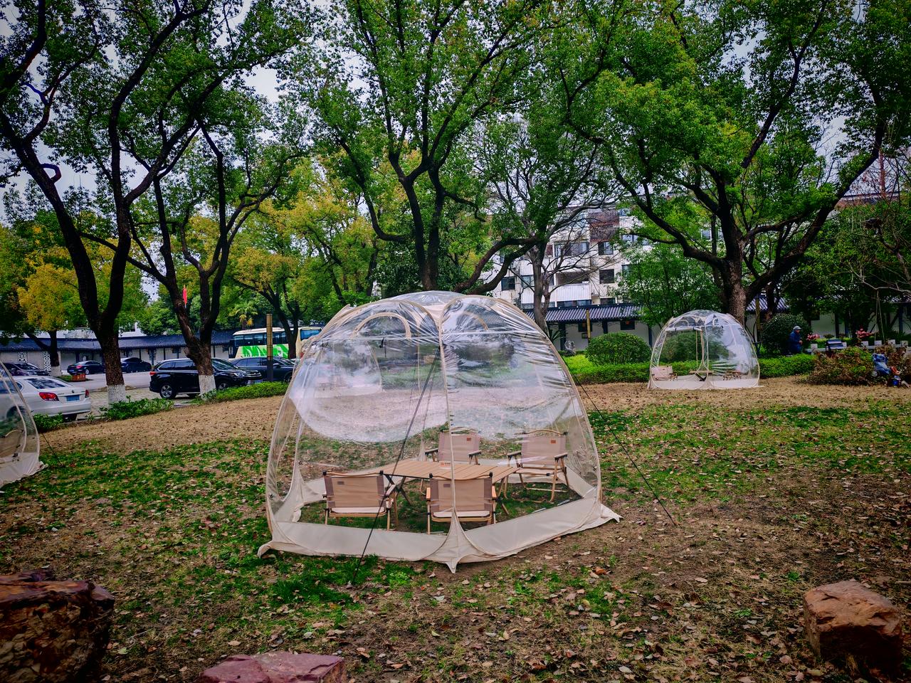 天南地北大拜年