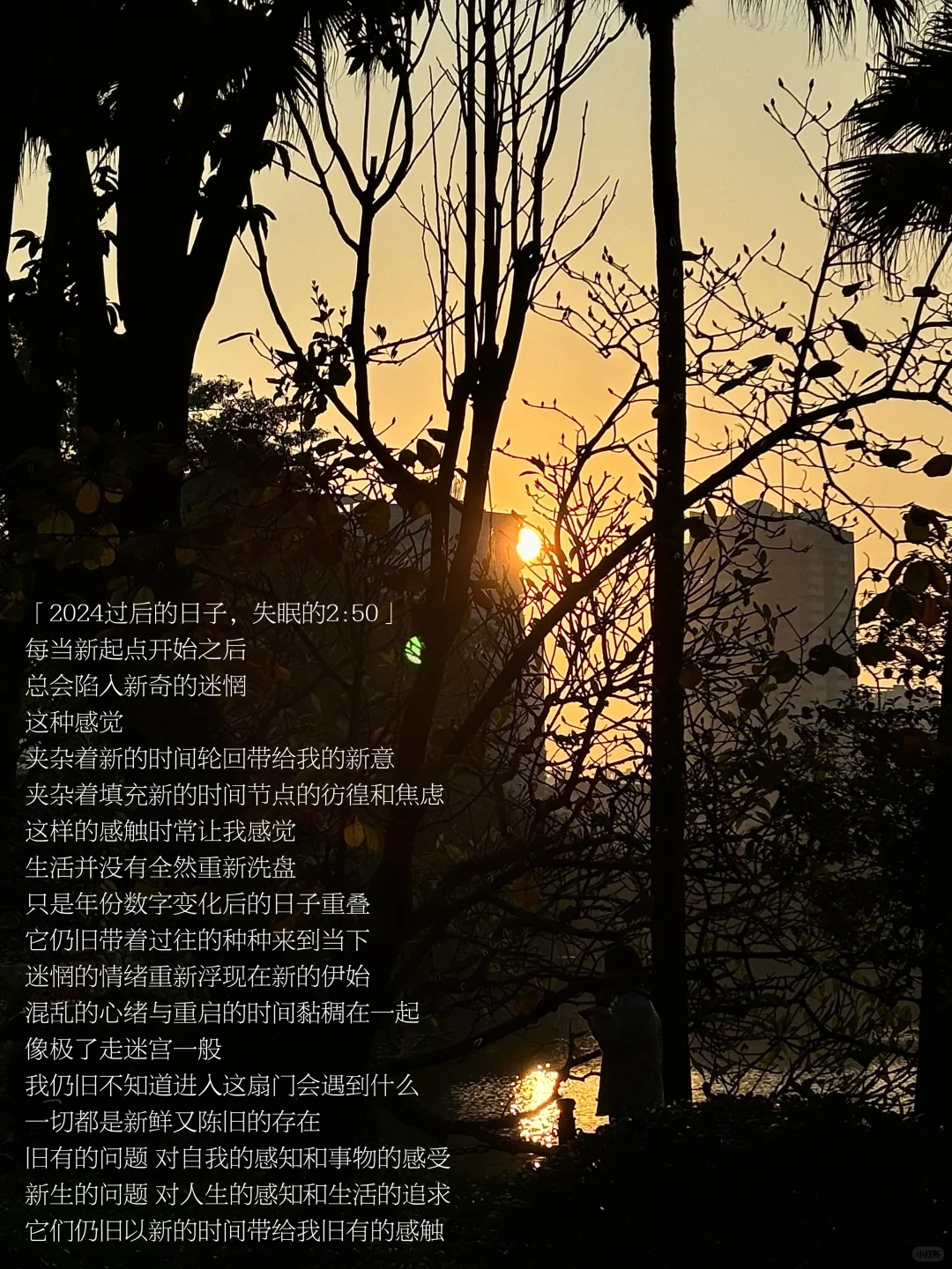 2024过后，我感受「重启时间」的新奇与迷惘。