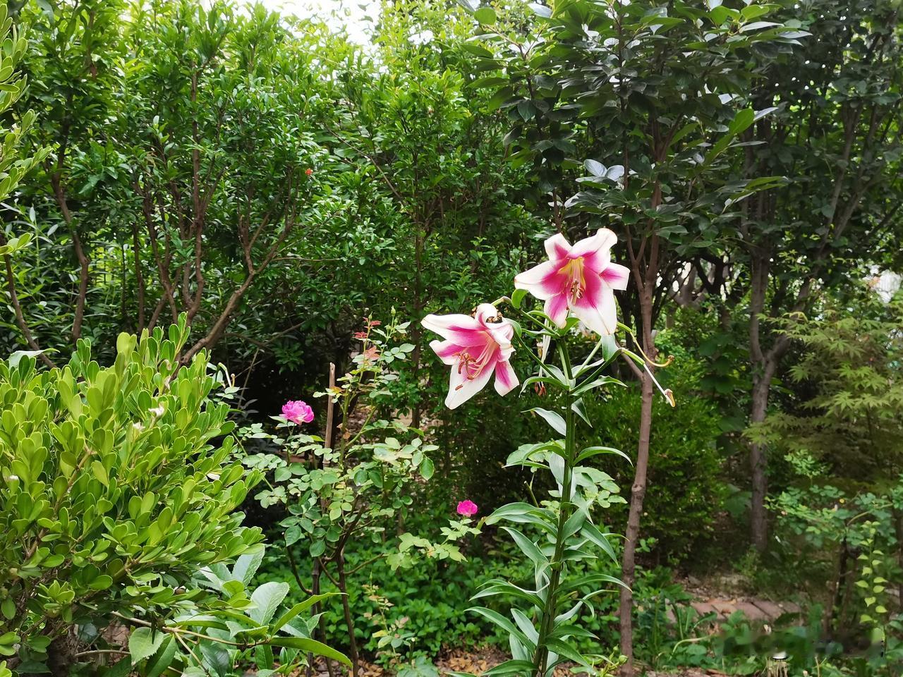 闺蜜问我，既然当老师这么好，一年两个假期，还有法定节假日，风不打头雨不打脸的，工