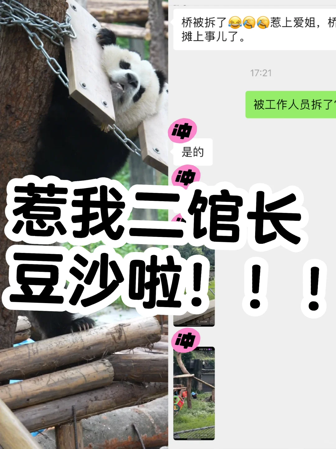 再见，小桥～这次你触碰了我们爱姐的逆鳞