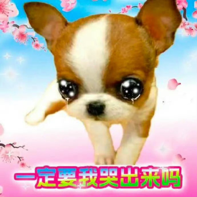 我这两天没啥时间看威逼 掉了三千🥣ydl 