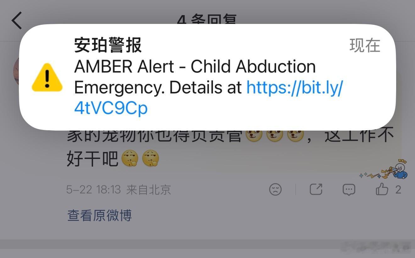 在美国第二次收到 AMBER Alert -Child Abduction Em