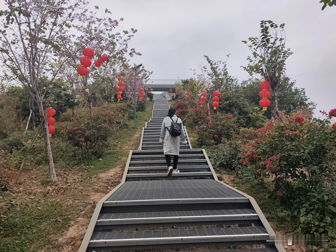 春节未到春先来，百花争艳吐纷芳，马腰岭公一日游，有山有水亦有花，还有古村呢。