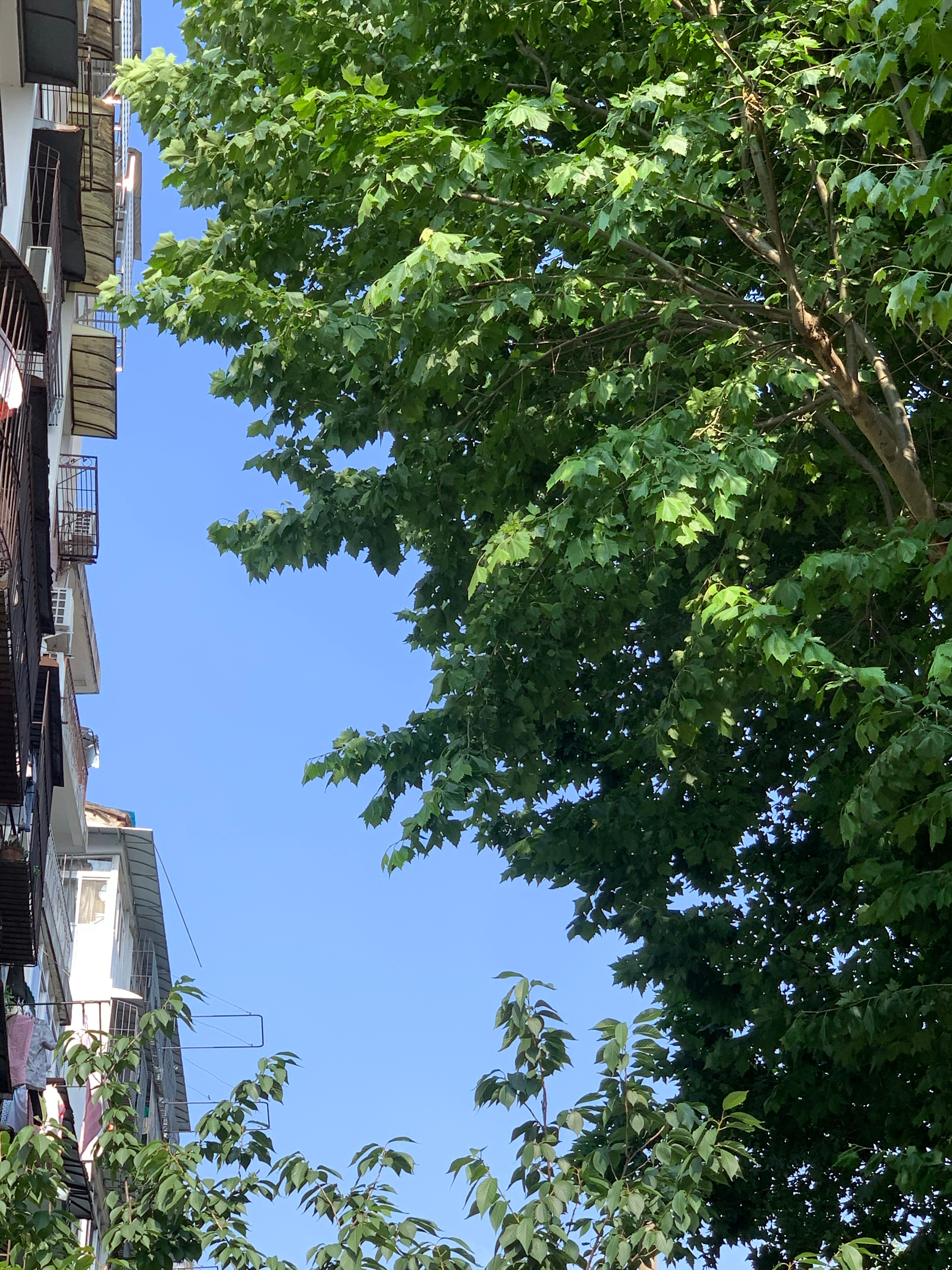 又爱又恨的夏天 ​​​