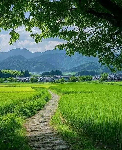 晚年想回村盖房养老？先别冲动！这三件事想清楚再动身
 


谁不想晚年逃离城市的