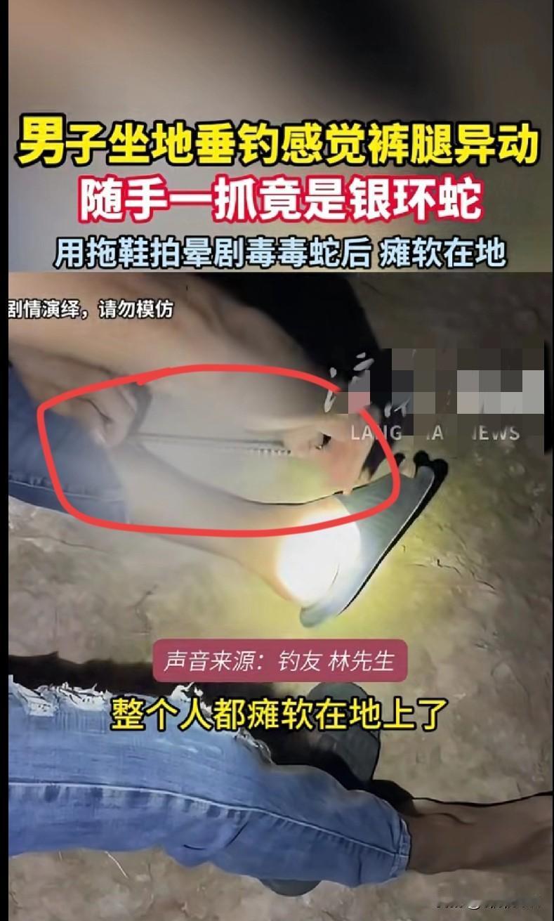 “家人们谁懂啊！一钓友坐地上钓鱼，突然感觉裤腿不对劲，伸手一抓，我的天！竟是条银
