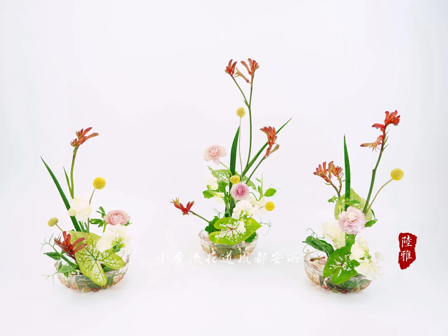 请在冬季，插出春天的五彩斑斓