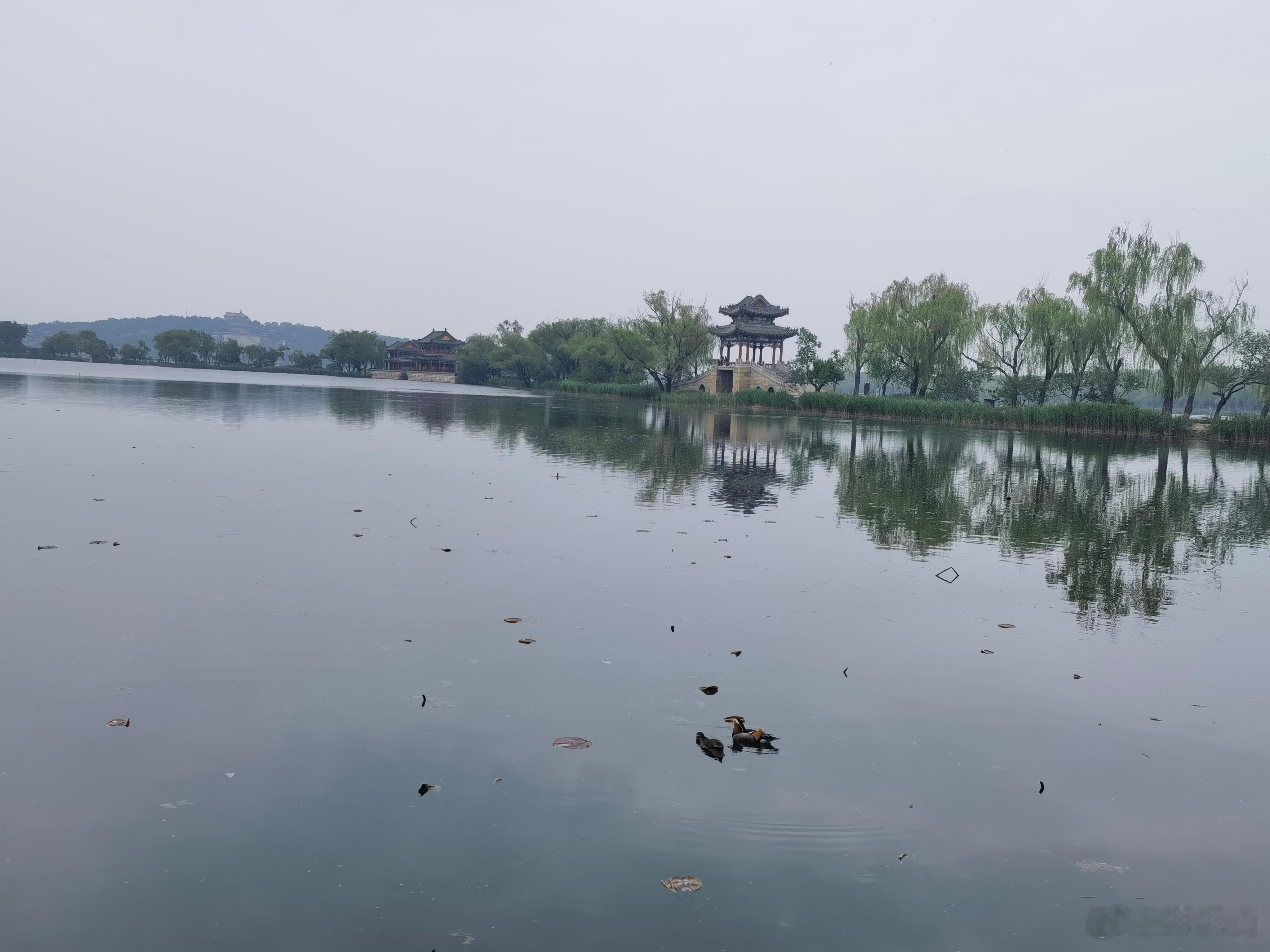 没事了啊，三两小酒过后，都跟我把话夹杂着说清楚了，姑娘工作上遇到点困惑，想找男的