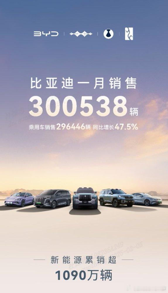 2025年1月，比亚迪以卓越之姿闪耀车市！ 1月销量达300,538辆，迎来开门