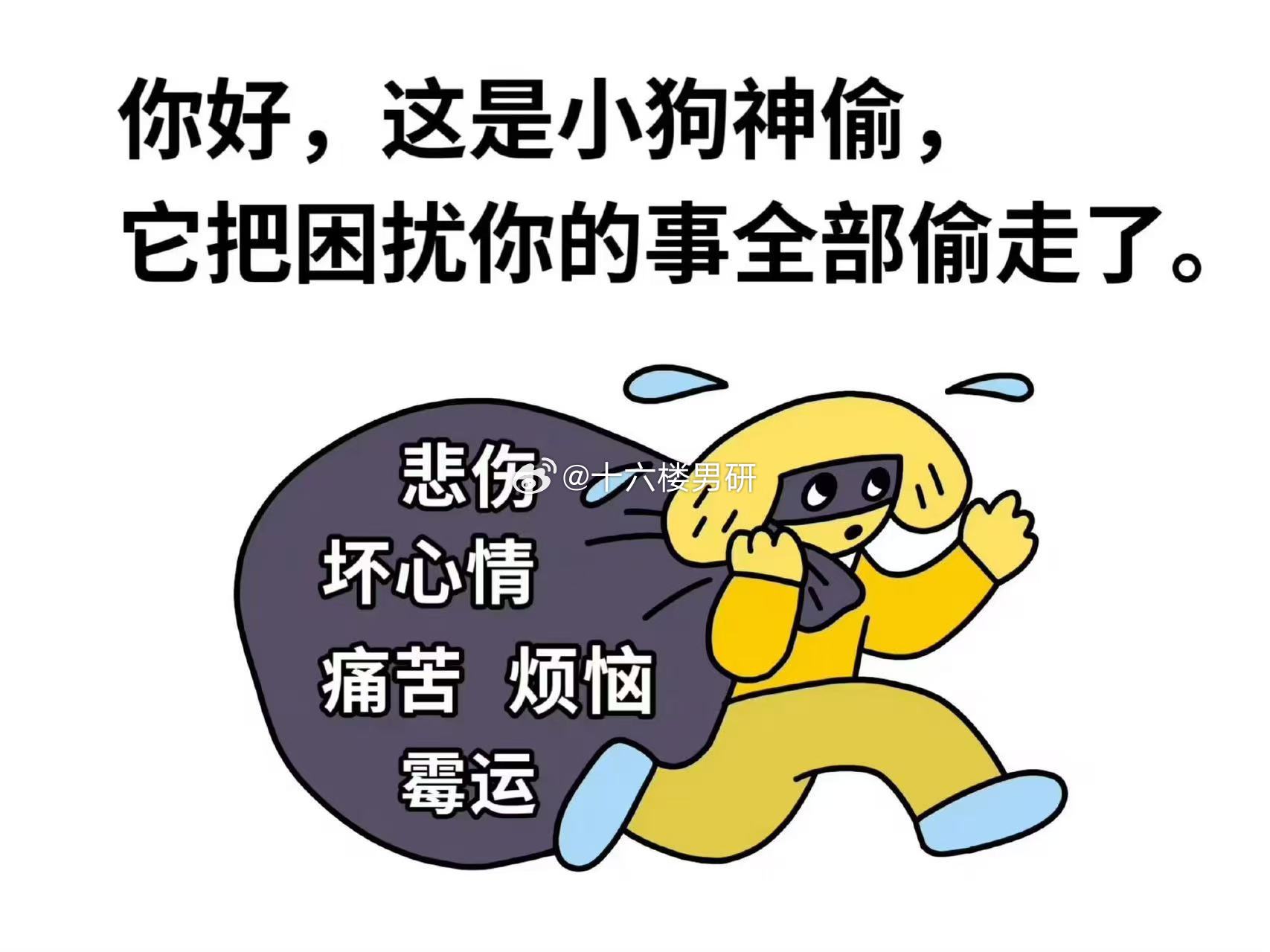 谢谢小狗神偷 