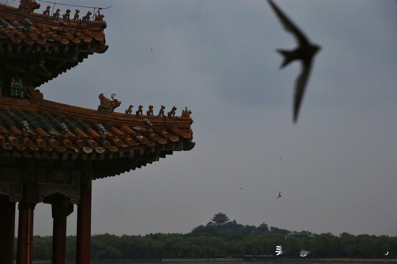 在北京找对象，你可千万得睁大了眼睛好好看，不然有你后悔的那一天！

我是个往上数