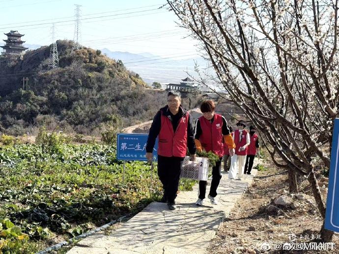 台州这群志愿者把荒地变成公益农场 一垄菜地，双份温暖。 志愿者种下希望，老人收获