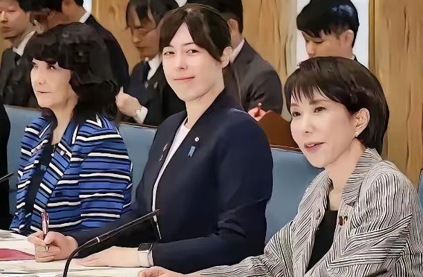 日本的反击来了！据说1 月 17 日凌晨，日本经产省召开紧急会议启动对华 230