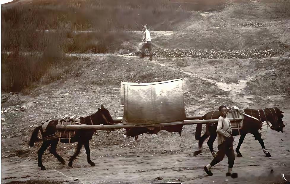 这张照片拍摄于清末民初时期，长这么大真是头一回见！原来轿子还能是这种形态——居然