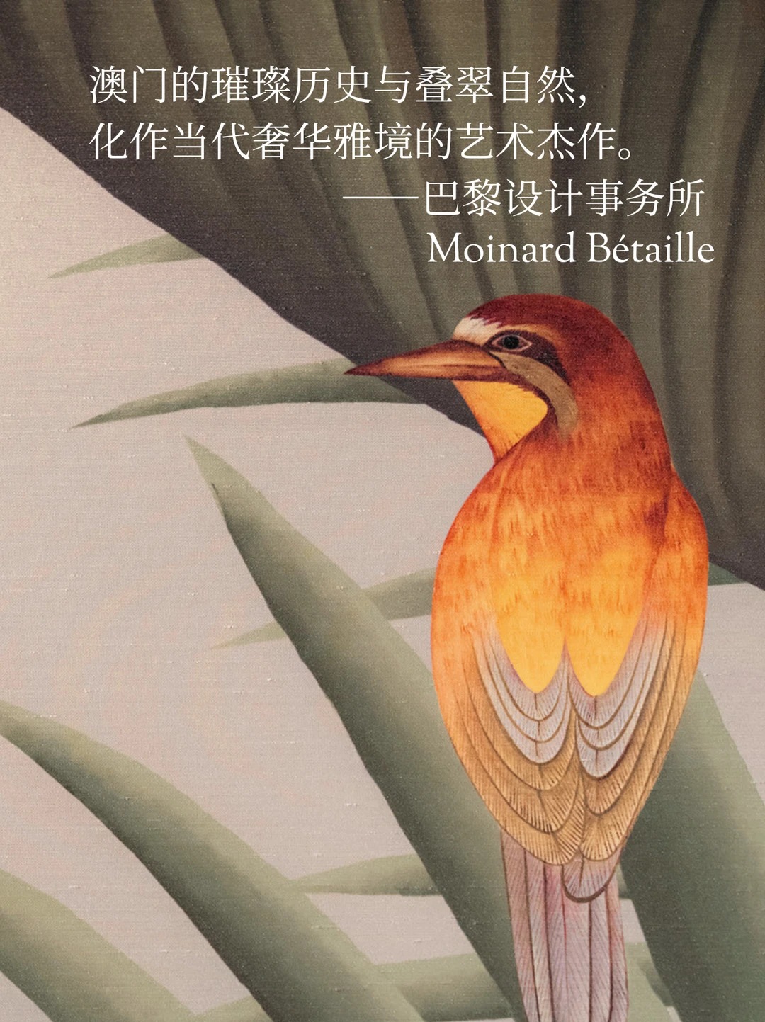 设计对话 | 澳门的鎏金丛林