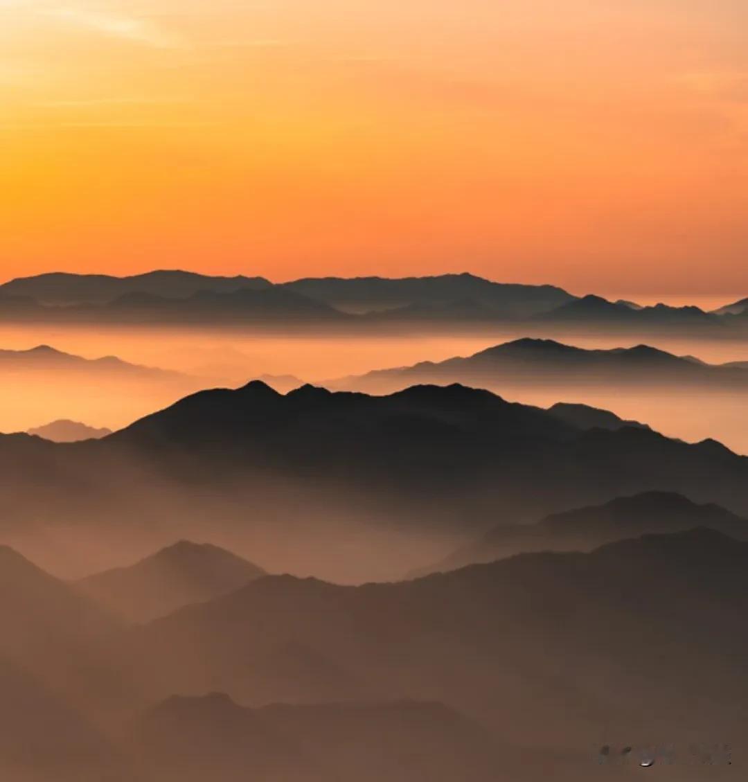 莫言说：“记住，所有欺负你的人，赌的就是你不会反抗；欺负你的人，赌的就是你不敢还