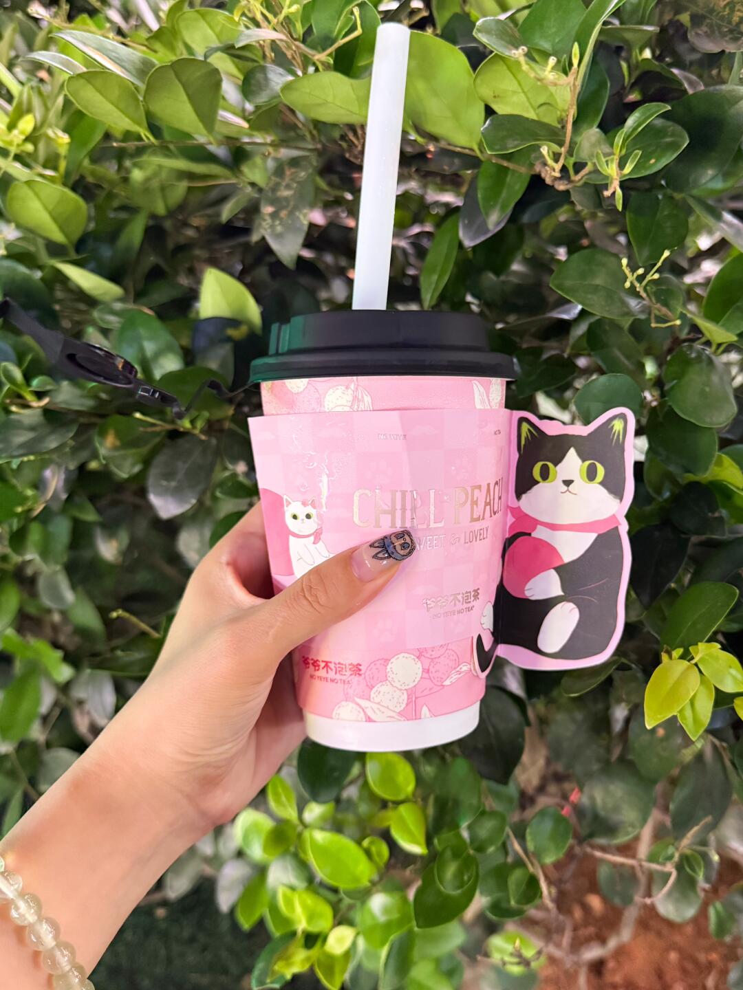 翻红吧衣橱