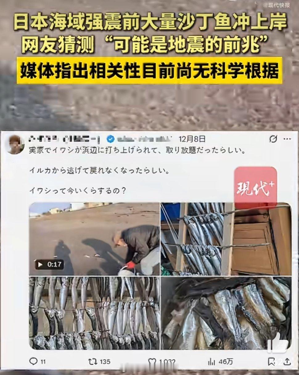 日本海域强震前大量沙丁鱼冲上岸日本强震前2000条沙丁鱼冲上岸，时间巧合引发“地
