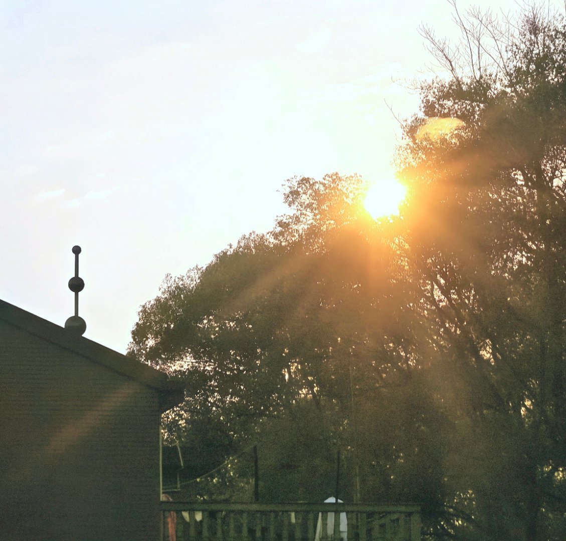 趁着好天气努力搬砖每天早起打卡