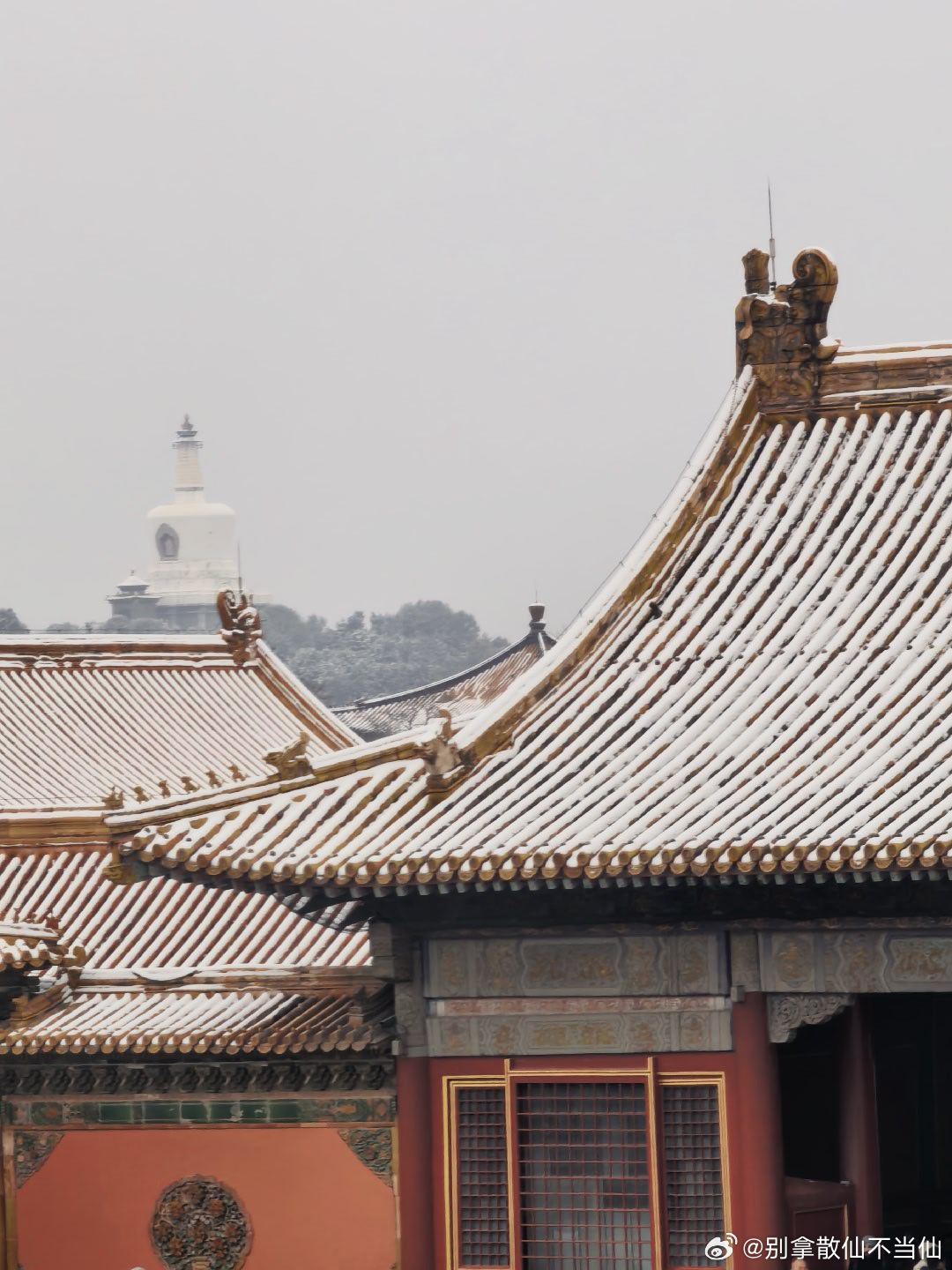 望飞雪满天舞，古老京城披银装，好一派北国风光。昨日摄于北京故宫一带。  摄影