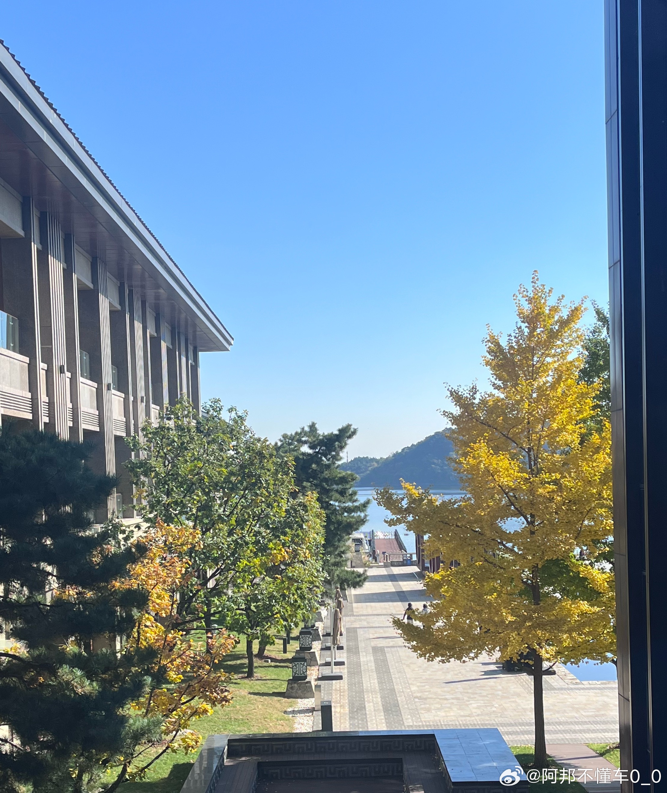 国际原油降价国内油价为何上涨这事你不能说脏话，因为你无能为力，那该如何呢，受着呗