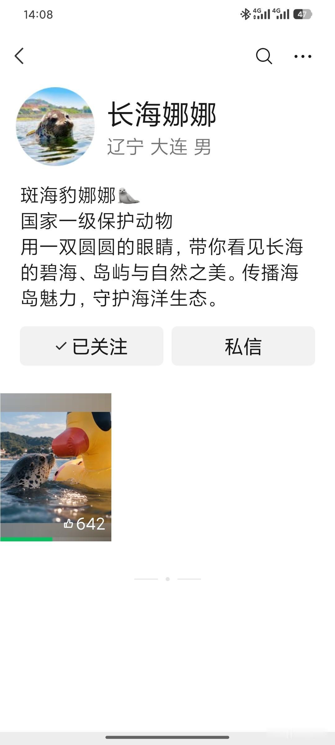 大连网红海豹“娜娜”开视频号了！长海县把泼天流量接成了生态名片！

一只斑海豹，