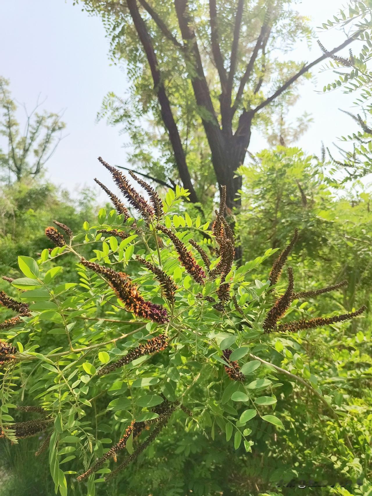 还真有人让尿憋出病来的人。
看到有报道说，一个小伙子开车去旅游，因为憋了几个小时