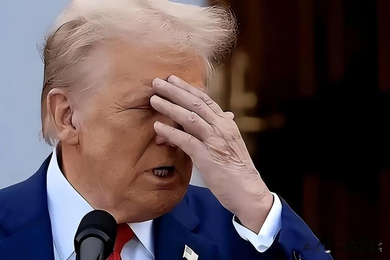 特朗普团队承认：严重低估了中国的韧性和承受力。中国这一仗打得漂亮！

特朗普卷土