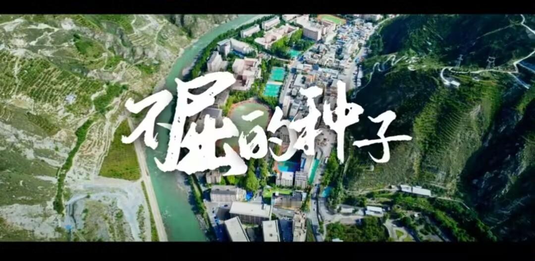 乡村儿童梦想守护计划  被这些国货品牌的公益行动暖到了   三只松鼠观看三只松鼠