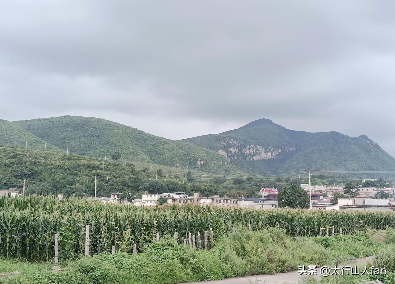 群山环抱之中的渡口，尽显绿意葱茏的壮美图景。
（图片：拍摄于2026-7-29）