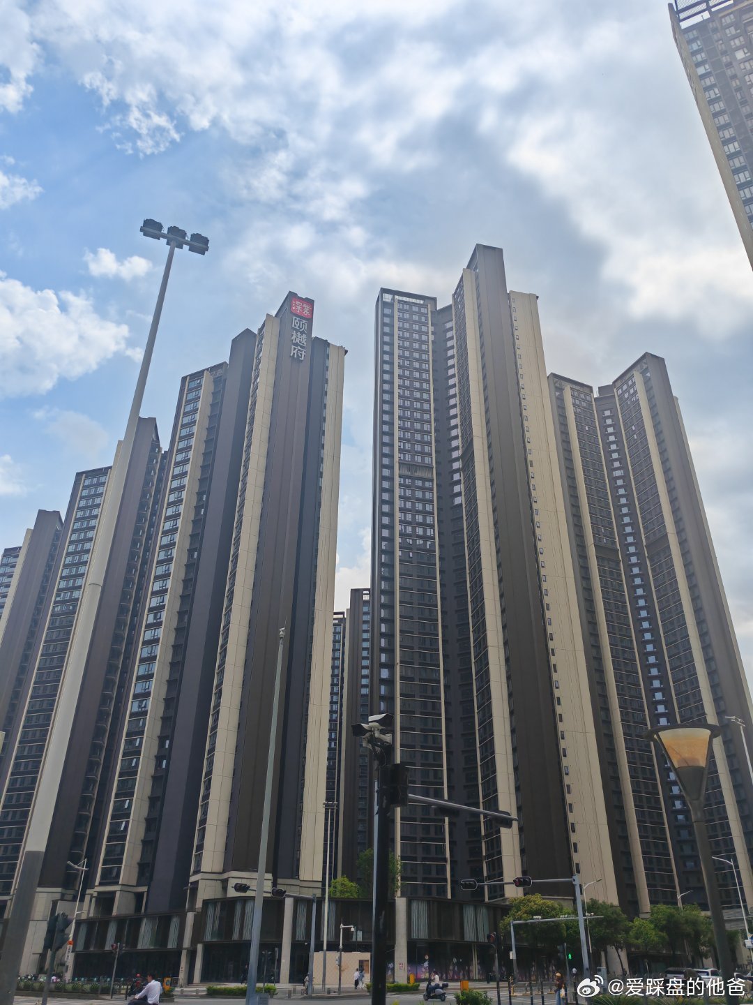 外立面真不好看！ 深圳·金地上塘道一期