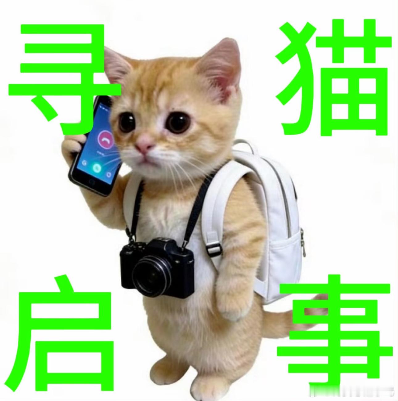 分享图片 ​​​
