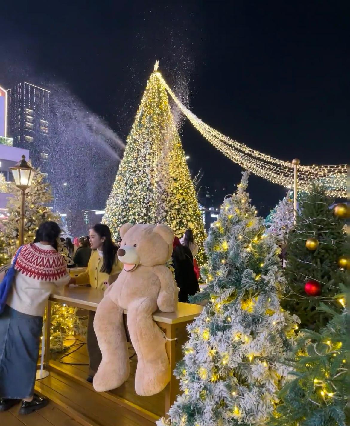 圣诞老人路过我账号都得叹气——这展现量，挂只袜子都嫌空。

连续一周数据惨过被驯