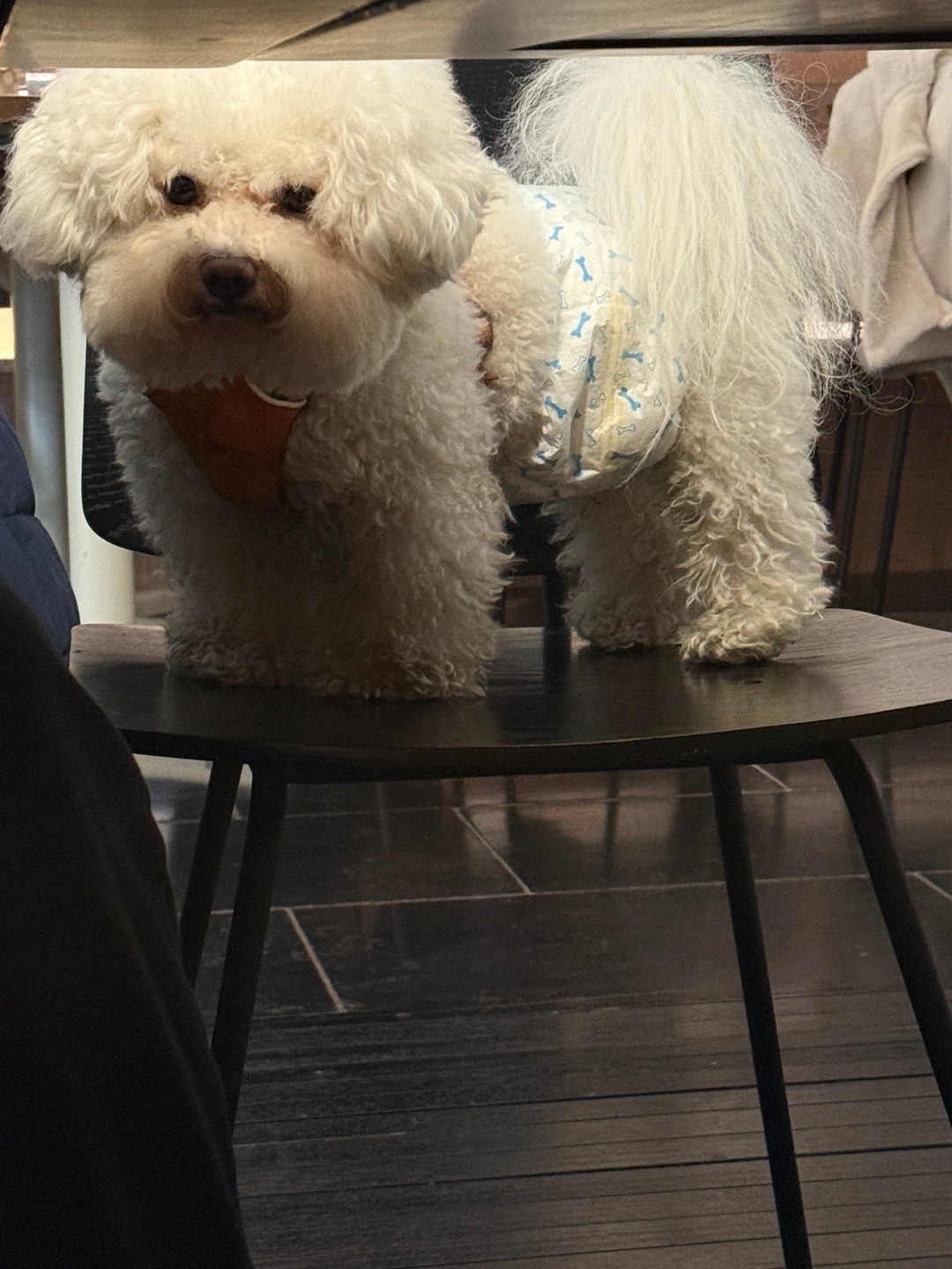 kukubabe in your area 🤪 