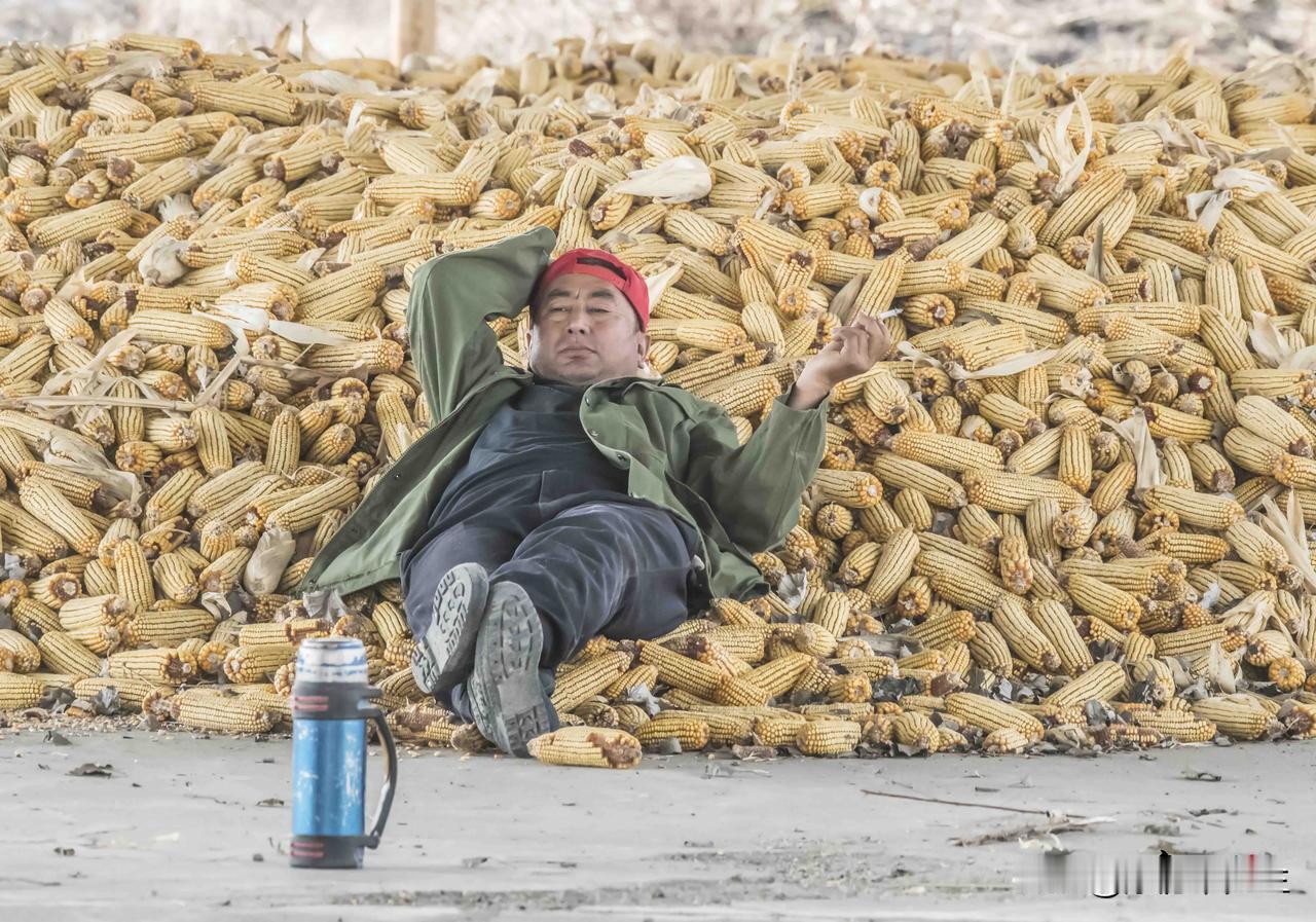 忙完秋收，往玉米堆上一躺，浑身的累都散了
原创作品.禁止盗图