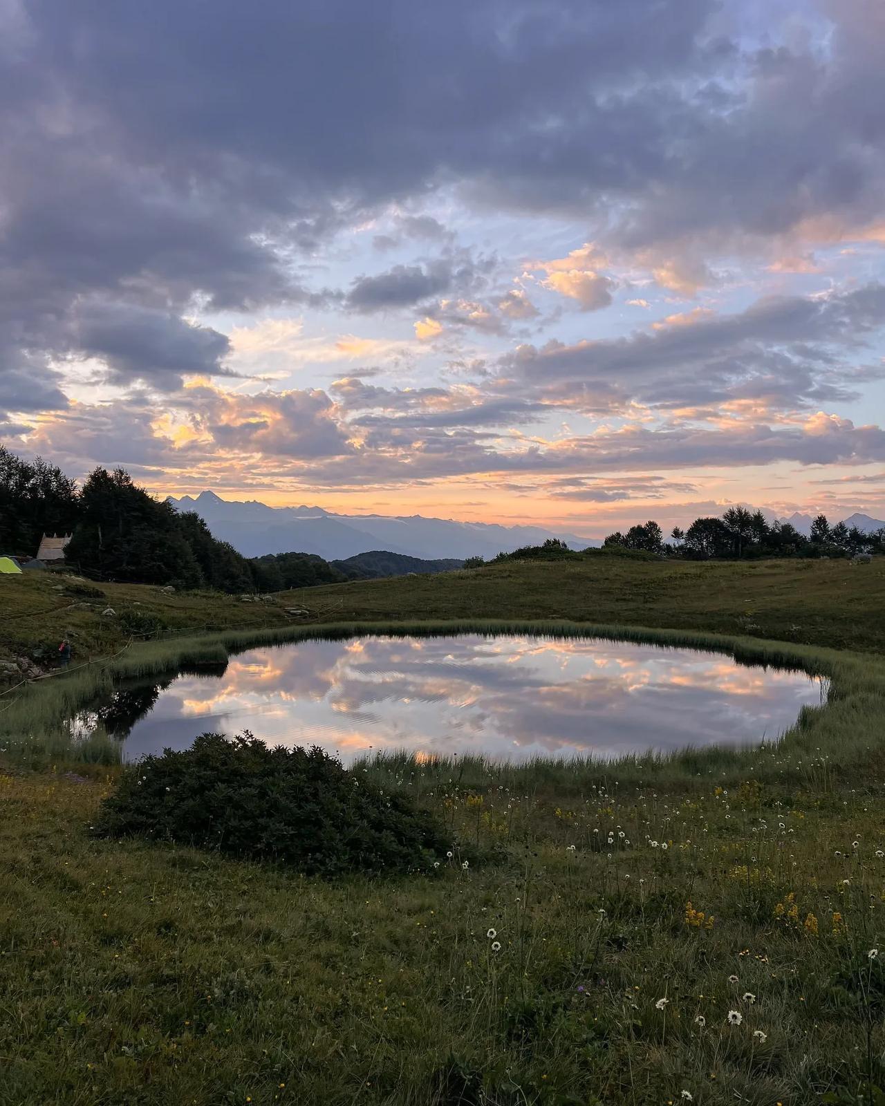 去吹旷野的风 感受山野间的秋意~🍂🌾
.